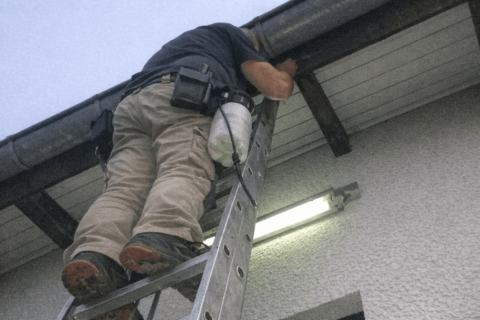 Sichere Höhenarbeit am Dach zur Insektenbeseitigung.